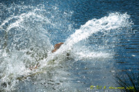 WRC_8956