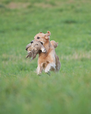 DSC_6405_Rudy