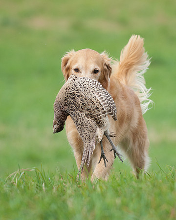 DSC_6879_Bette
