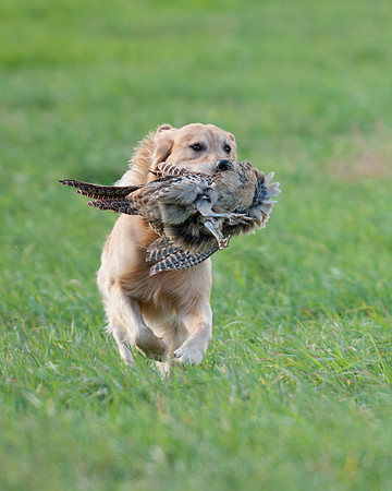 DSC_6414_Rudy