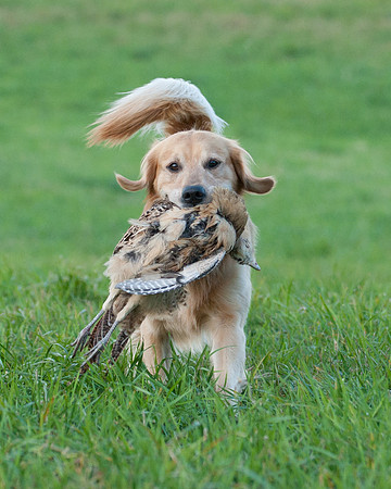 DSC_6424_Rudy