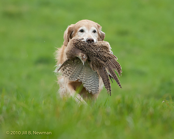 DSC_6349_Edie2