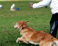 DSC_6596_TestDog