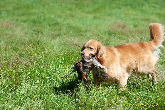 WRC_8680