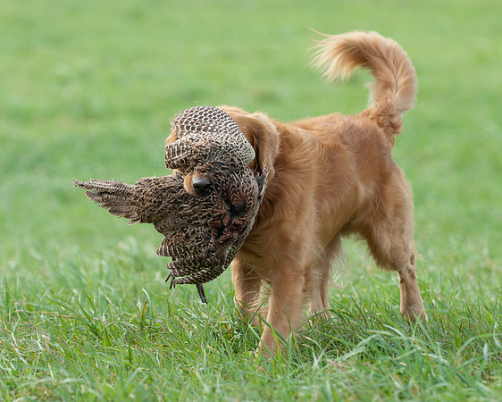 DSC_6781_Jerry