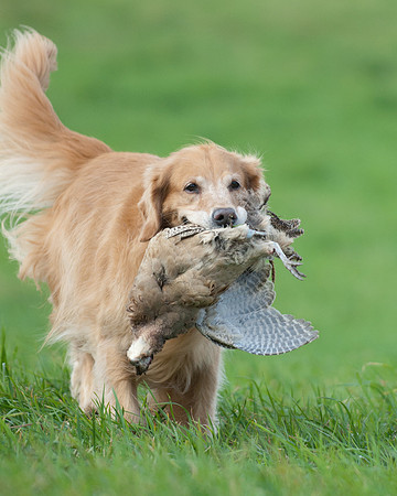 DSC_6755_Lucy