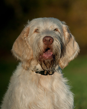 DSC_7474_Rico