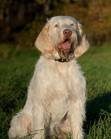 DSC_7460_Rico