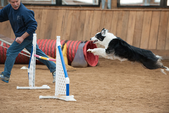 WRC_2309