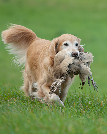 DSC_6372_Edie