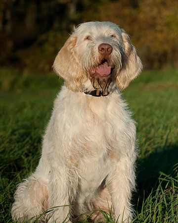 DSC_7461_Rico