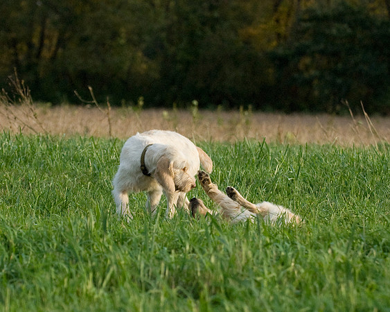 DSC_2123