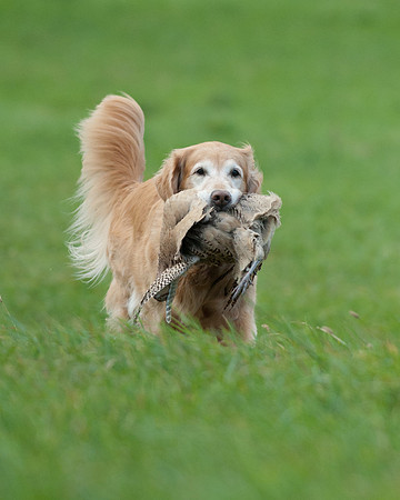 DSC_6369_Edie
