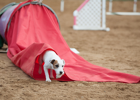 WRC_2159