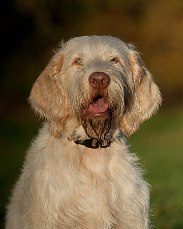 DSC_7475_Rico